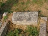 image of grave number 737239